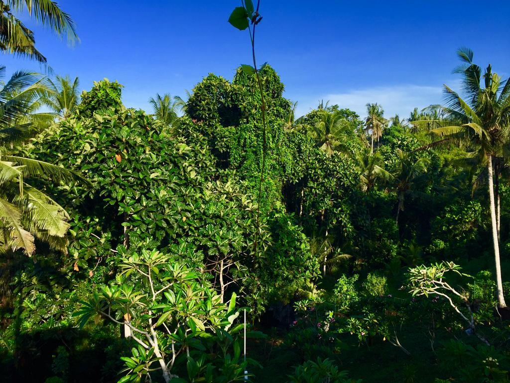 Tirta Arum Ubud Kültér fotó